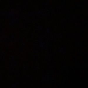 Meet your Posher, Jade